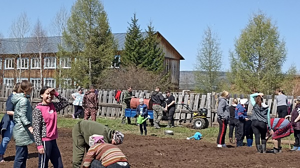 Работа на пришкольном участке.