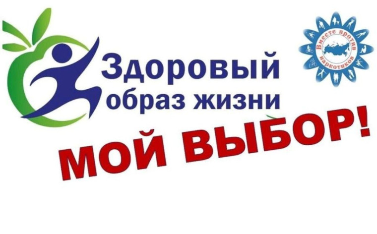 Профилактическая деятельность.
